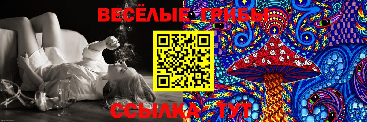 Тихорецк  Галлюциногенные грибы GOLDEN TEACHER  Вход с VPN 